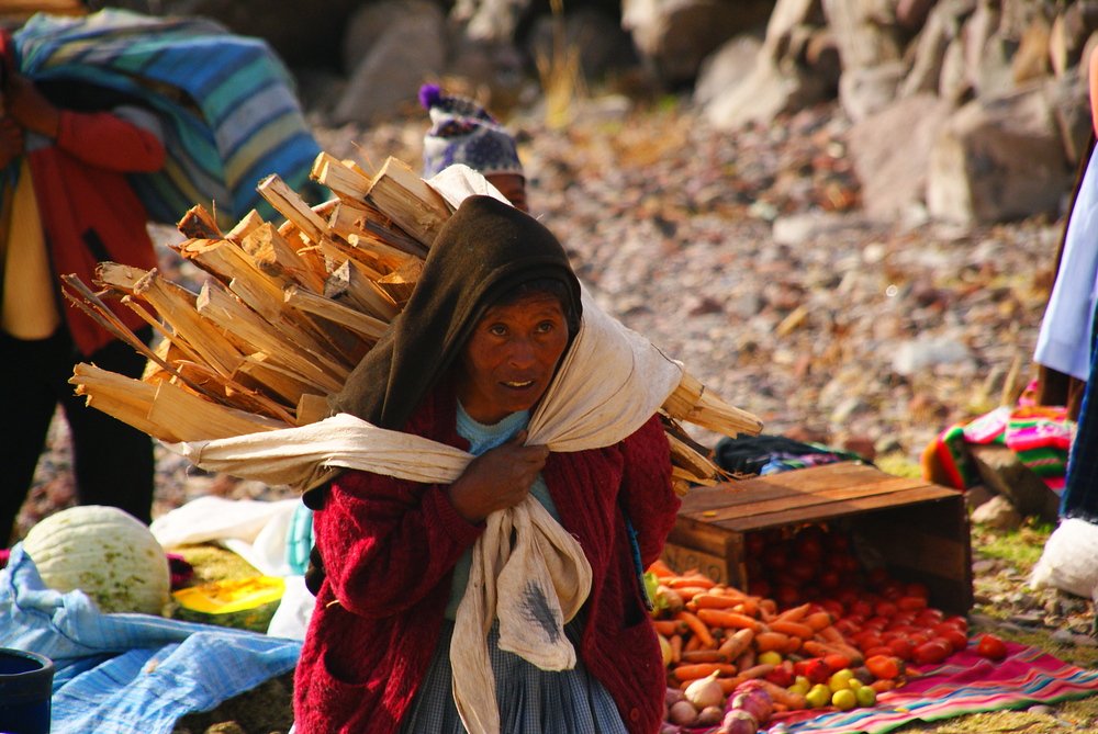 A hunchbacked elderly lady carries a heavy load of what appears to be kindling on her back in Lake Titicaca