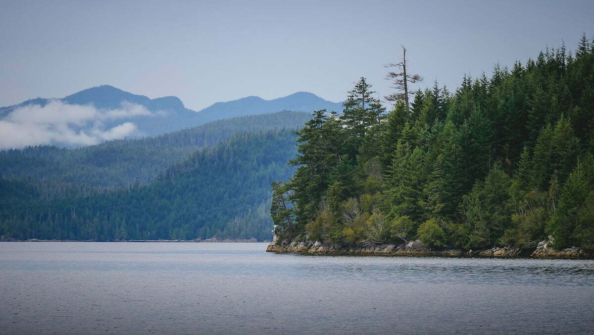 Nootka Island tour as a day trip from Zeballos, British Columbia, Canada 