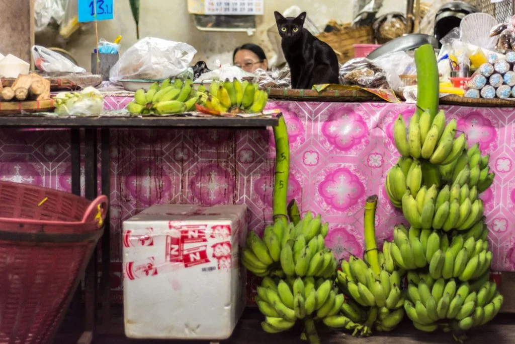 A four-leg guardian and a banana vendor make a great-synchronized couple at the market in Chiang Mai, Thailand: while one rests, the other takes care of the customers.