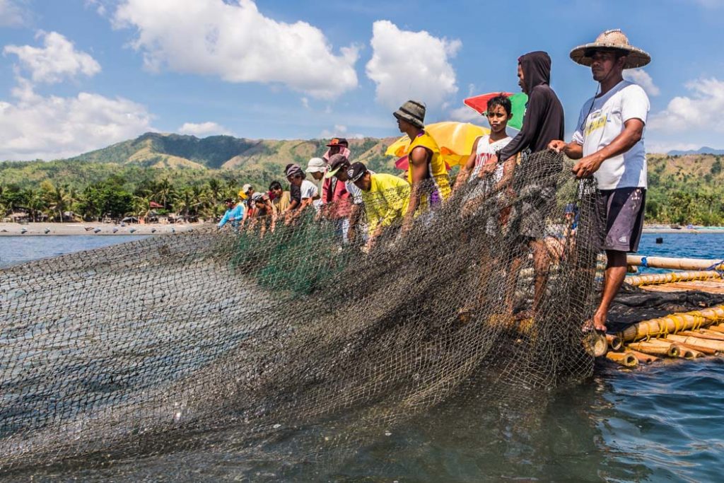 Three generations of fishermen during lambaklad fishing in Tibiao, Philippines, where they use an enormous, stationary fish trap that is the biggest in the country!