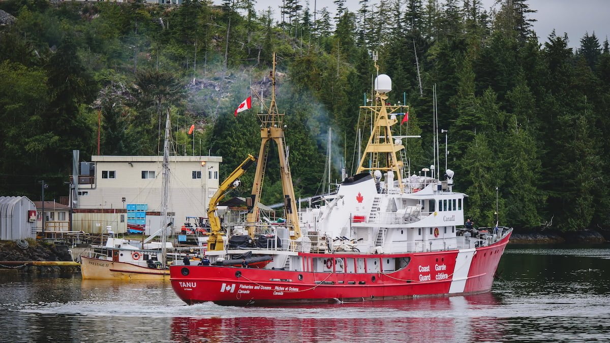 Port Hardy Fisheries and Customs boat in British Columbia, Vancouver Island, Canada in the town of Port Hardy 