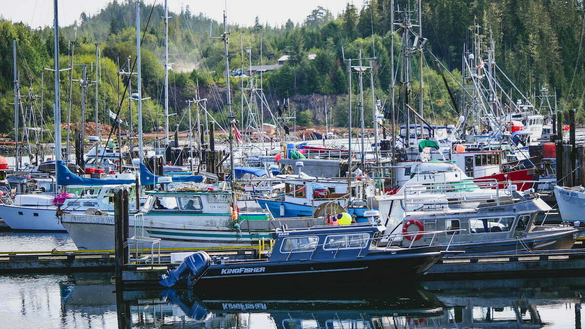 Port Hardy fishing boats which you can see wandering around town 