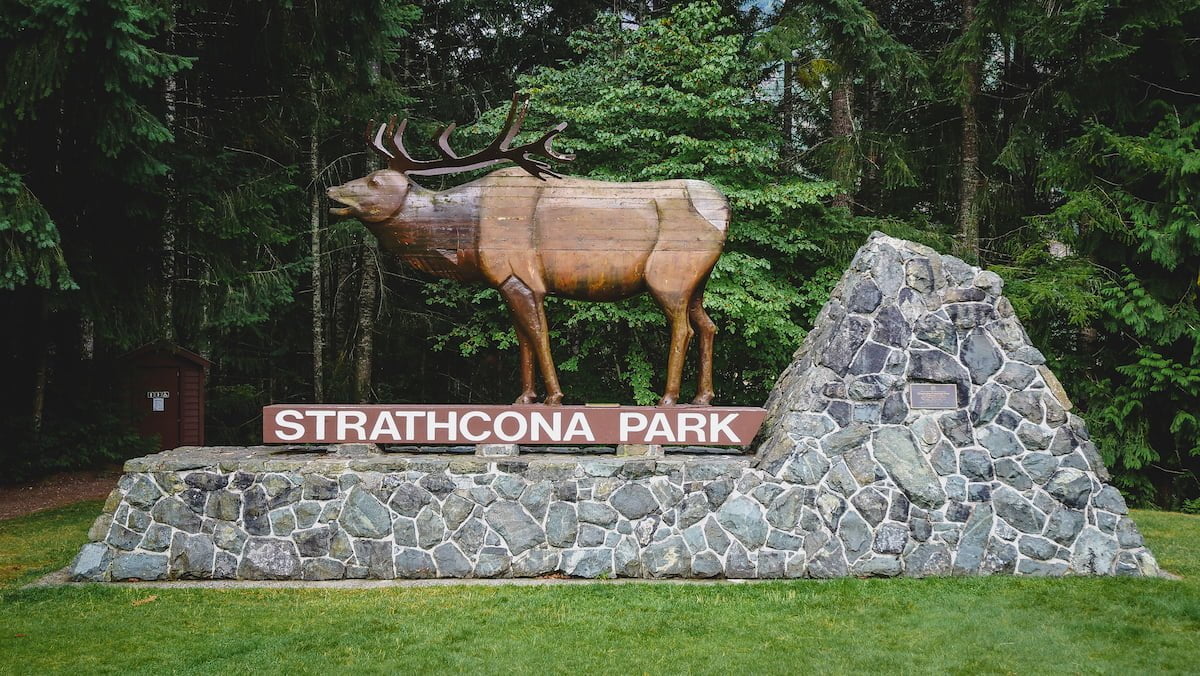 Strathcona Park Elk Monument on the drive to Gold River from Campbell River. 