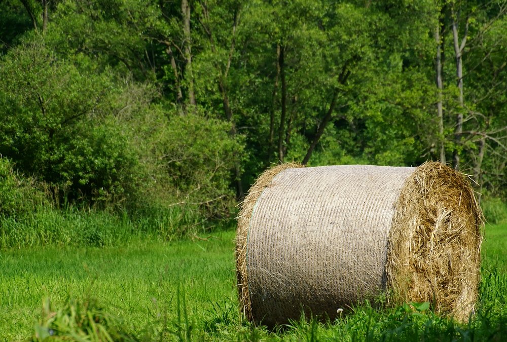 A barrel of hay located in the Spree Forest, Germany