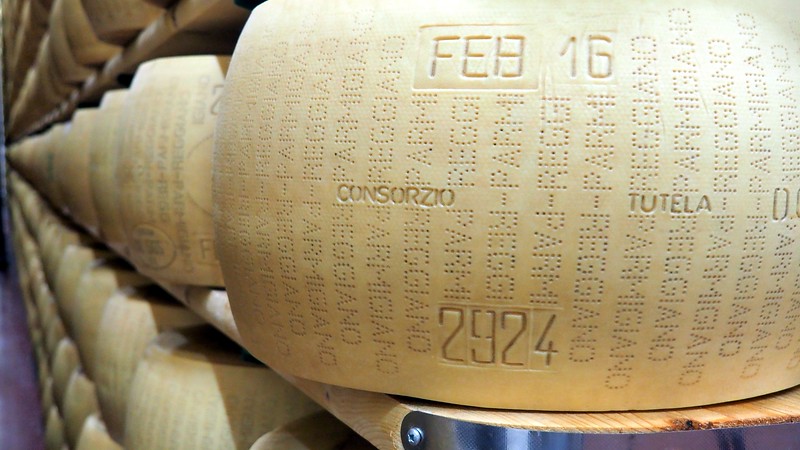 A close-up shot of a Parmigiano Reggiano cheese wheel at Hombre farm