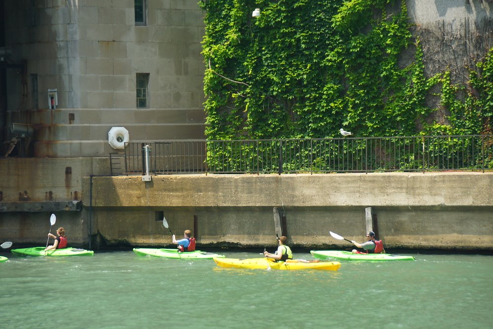 a group Kayaking down the Chicago River on a hot summer day