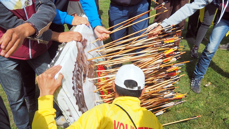 A massive collection of arrows hitting the target at the event in Kyrgyzstan. What great accuracy!