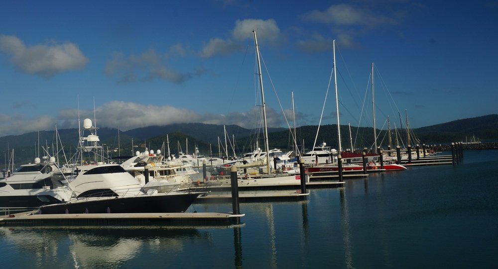 A shot of boats in the harbor at Abel Point Marine