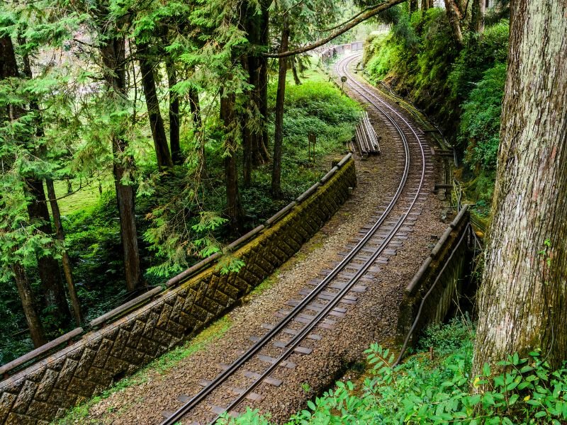 Alishan train tracks in the forests of Taiwan 