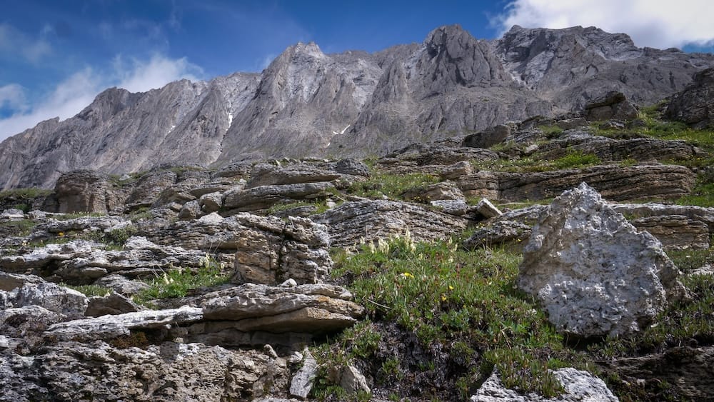 Layered rock ledges and towering grey alpine cliffs fill the landscape at Allenby Pass in Banff National Park, Alberta, Canada, with sparse vegetation growing between the exposed formations.