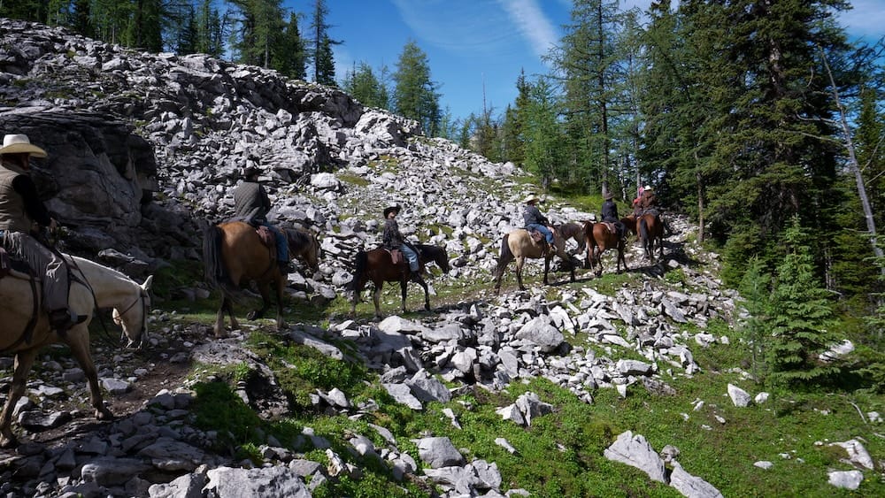 A line of horseback riders climbs a rocky trail toward Allenby Pass in Banff National Park, Alberta, Canada, moving through broken limestone terrain and evergreen forest under a clear blue sky.