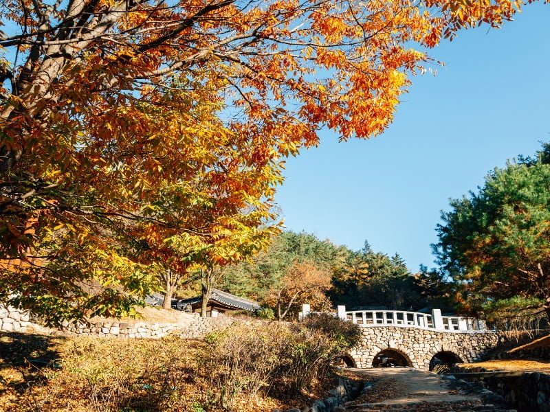 Andong fall folliage in South Korea
