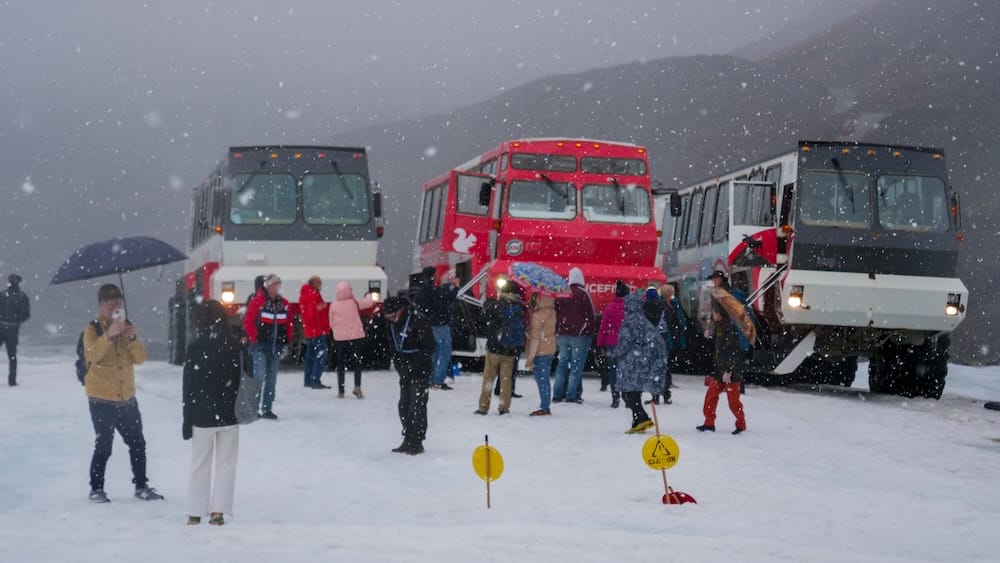 Visitantes están entre varios Ice Explorer sobre el glaciar Athabasca en Columbia Icefield, Alberta, Canadá, mientras cae una fuerte nevada y las nubes bajas cubren las laderas.