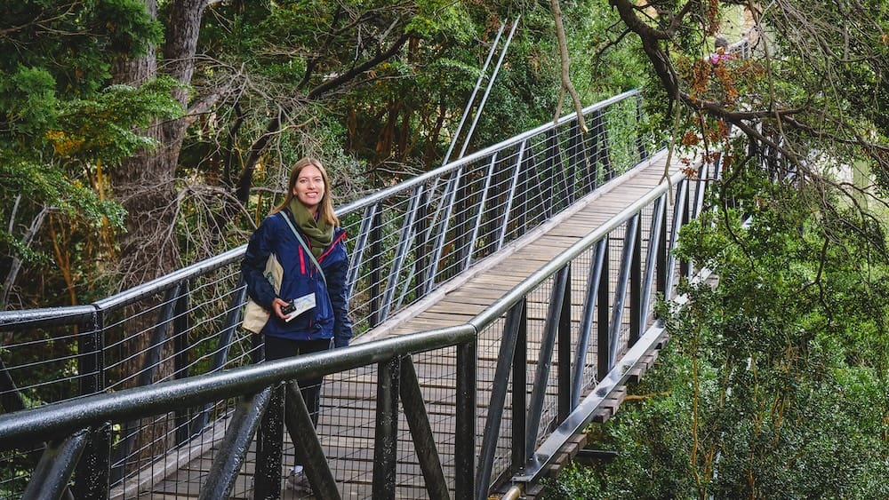 Audrey Bergner stands on an elevated wooden walkway in the temperate forest of Los Alerces National Park, Chubut, Patagonia, Argentina, surrounded by dense green trees and rail-lined path infrastructure.