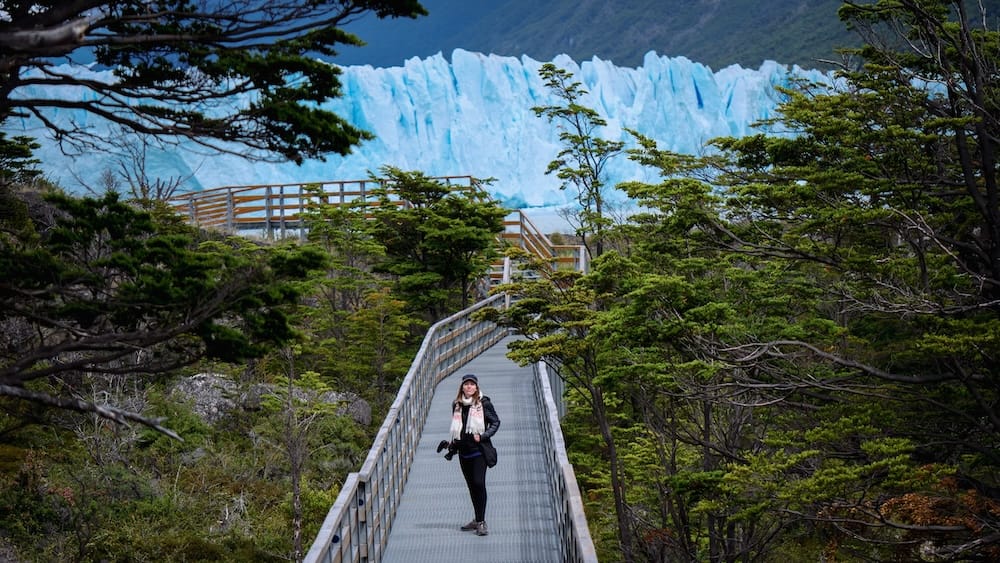 Audrey Bergner on the Perito Moreno Glacier walkways in Patagonia, Argentina Audrey Bergner stands on the forested walkways at Perito Moreno Glacier in Santa Cruz, Patagonia, Argentina, with the glacier’s jagged blue ice wall rising behind the trees.