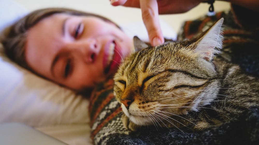 Audrey Bergner Resting With a Tabby Cat in Esquel Patagonia After Long Regional Travel Days Audrey Bergner resting with a friendly tabby cat in Esquel, Patagonia, a quiet lodging moment that shows why long travel times, rough roads and slow regional movement need real recovery space.