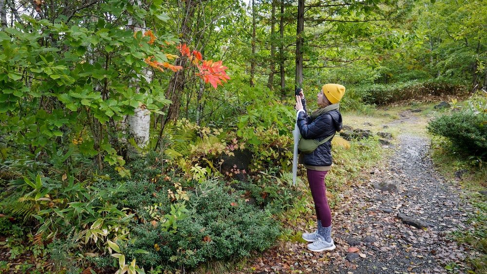 Audrey Bergner That Backpacker capturing highland autumn colours in Norikura Highlands, Nagano, Japan 