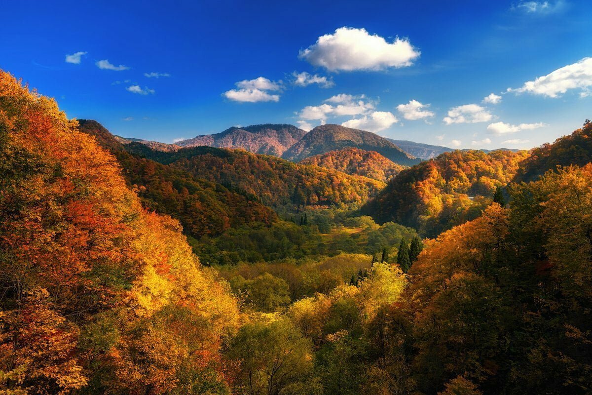 Autumn colorful mountain in Tohoku, Japan which can be easily visited from Morioka, Japan