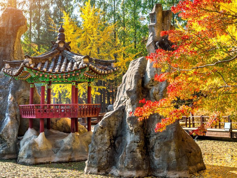 Nami Island autumn colors on a day trip from Chuncheon, South Korea 