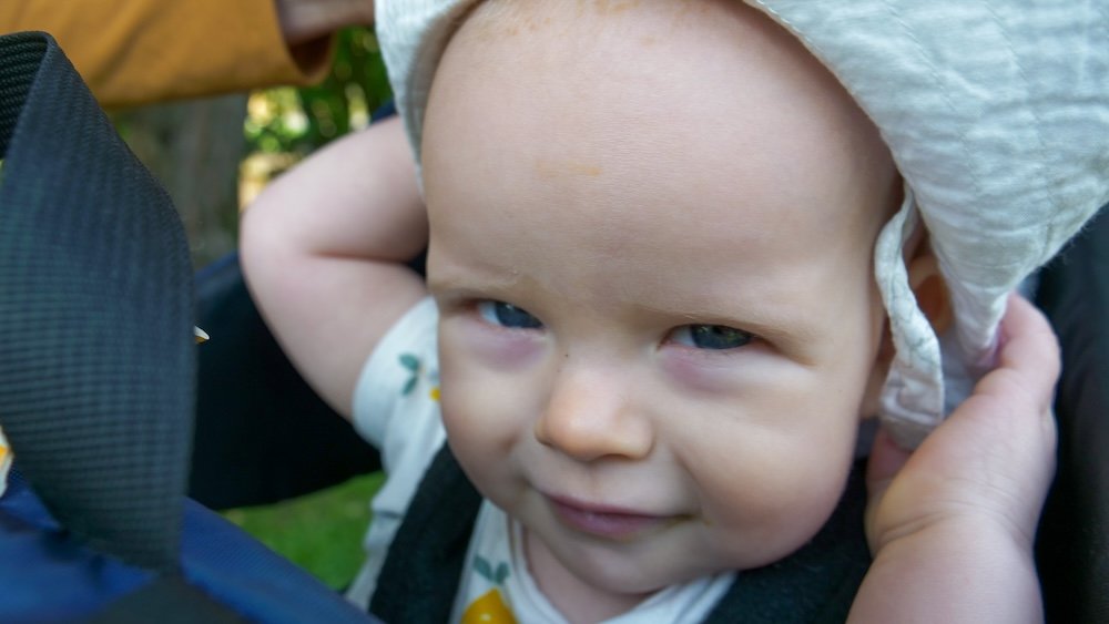 Baby hiking in a backpack in Fernie, BC Baby Aurelia riding in a hiking backpack on a forest trail in Fernie, British Columbia, wearing a soft sun hat and looking content during a gentle family hike, showing how babies can comfortably enjoy outdoor adventures in Fernie.