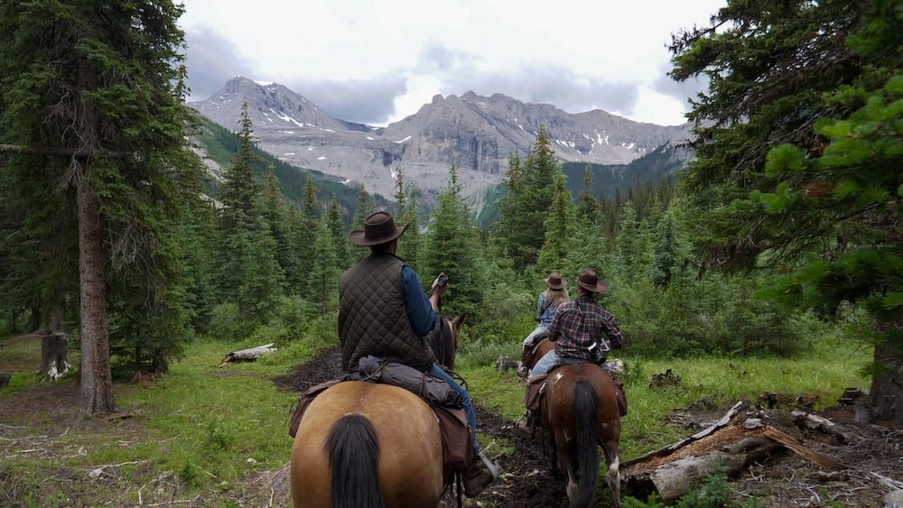 A line of riders on horseback follows a forested backcountry trail toward a rocky, snow-patched mountain range on the Banff Trail Riders horseback trek, Banff National Park, Alberta, Canada.