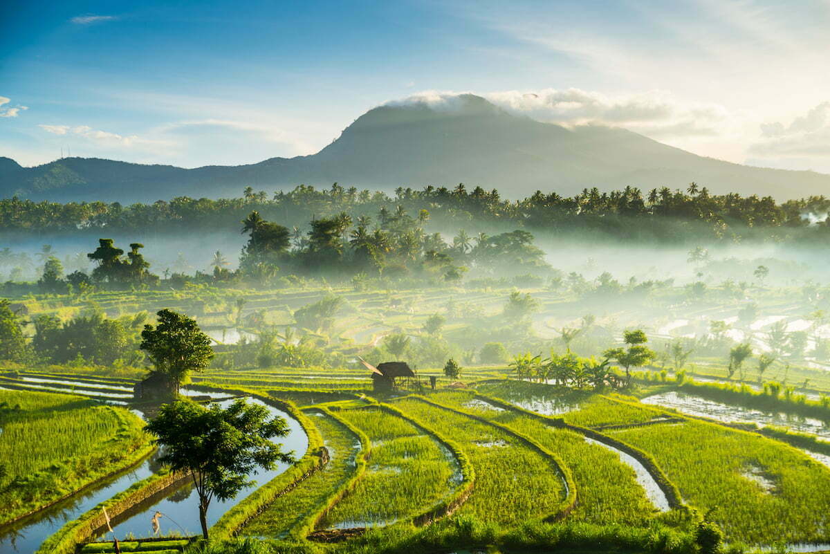 Bali in Indonesia is a popular hot spot for digital nomads seeking a work and life balance 