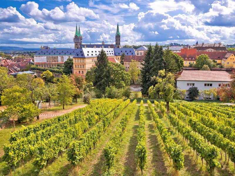 Bamberg remarkable vineyard views in Germany 