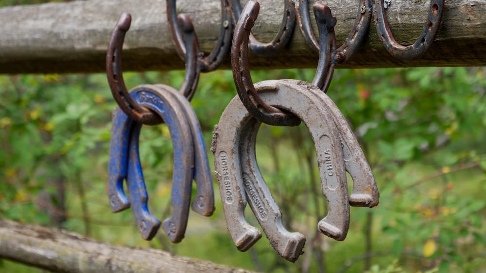 Herraduras en el Banff Cowboy Cookout del Parque Nacional Banff, Alberta, Canadá Varias herraduras de metal cuelgan de ganchos sobre una baranda rústica de madera en el Banff Cowboy Cookout, Parque Nacional Banff, Alberta, Canadá, con vegetación verde desenfocada detrás.