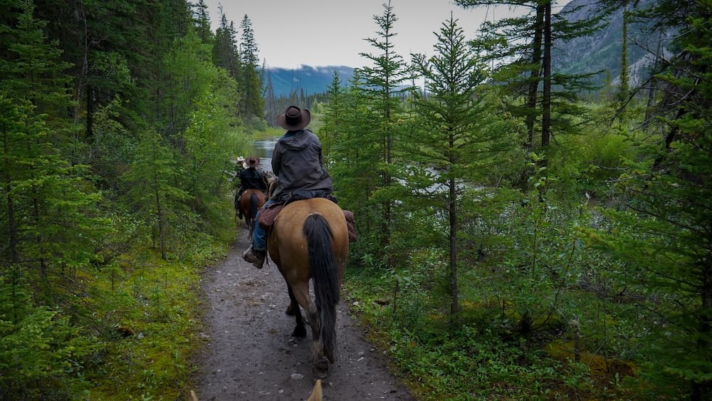 Jinetes a caballo por un sendero forestal del Parque Nacional Banff, Alberta, Canadá, durante el Cowboy Cookout Jinetes a caballo avanzan por un sendero angosto junto a un río en el Parque Nacional Banff, Alberta, Canadá, rodeados de pinos y laderas montañosas en un entorno de bosque.