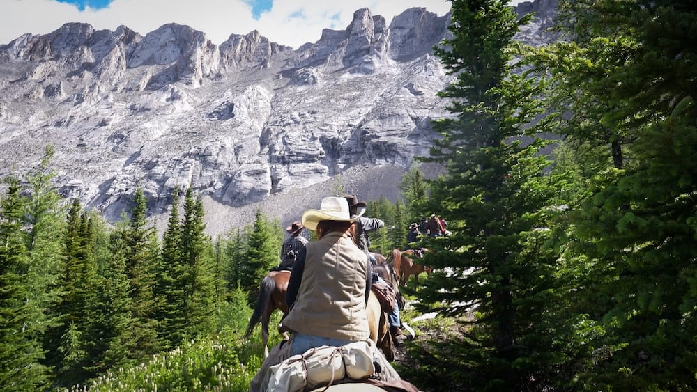 A group of horseback riders moves through Banff National Park, Alberta, Canada, beneath pale limestone cliffs and among evergreen trees, with rugged mountain scenery surrounding the backcountry trail.