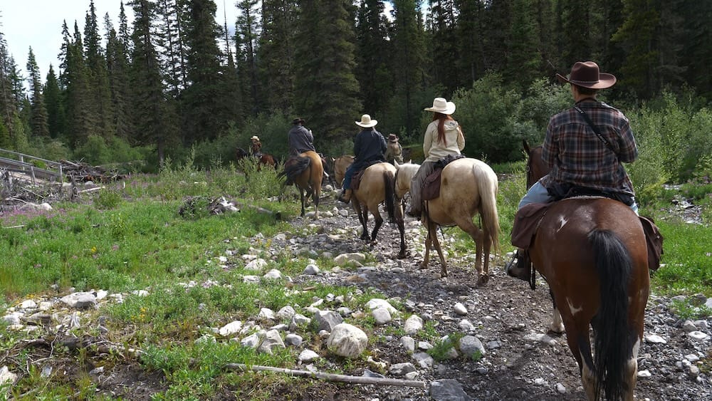 A group of horseback riders travels along a rocky forest trail in Banff National Park, Alberta, Canada, surrounded by evergreen trees, low vegetation and mountain backcountry terrain.