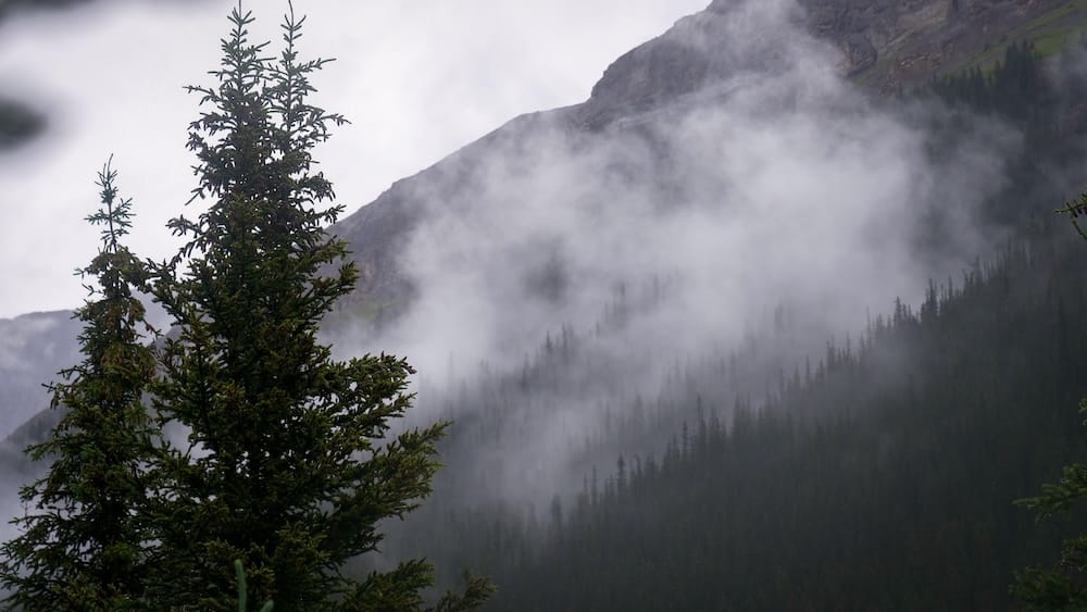 Moody mountain weather in Banff National Park, Alberta, Canada with low clouds over forested backcountry slopes Low clouds and mist drift across steep mountain slopes and dense evergreen forest in Banff National Park, Alberta, Canada, creating dark, unsettled weather over the backcountry landscape.