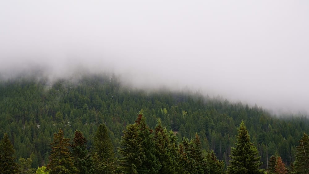 Banff Town Alberta Canada Low Cloud and Mountain Forest During Moody Weather Conditions Low cloud and mist covering the mountain slopes above Banff town in Alberta, Canada, with dense evergreen forest visible beneath the grey mountain weather.