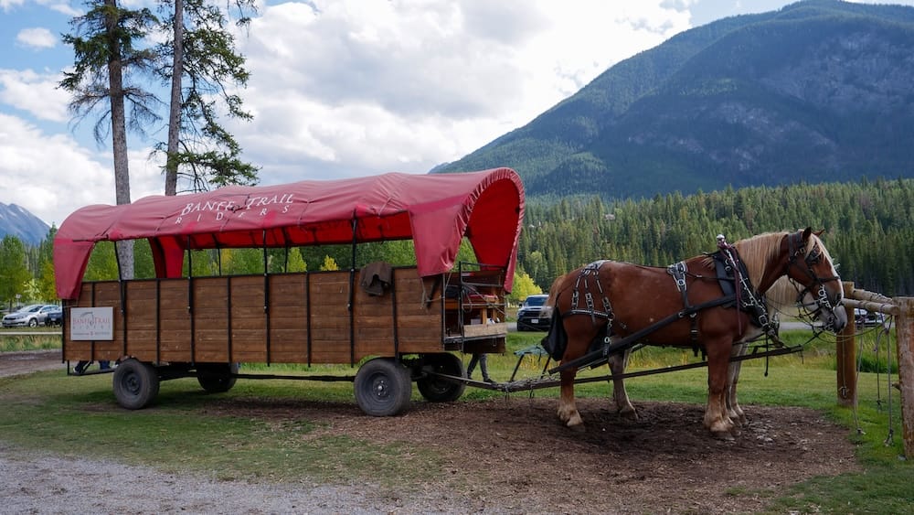 Carreta cubierta de Banff Trail Riders con caballos en Banff, Alberta, Canadá Una carreta cubierta de Banff Trail Riders está enganchada a dos caballos en Banff, Alberta, Canadá, con cercas de madera, bosque y empinadas laderas de las Rocosas detrás antes de salir.