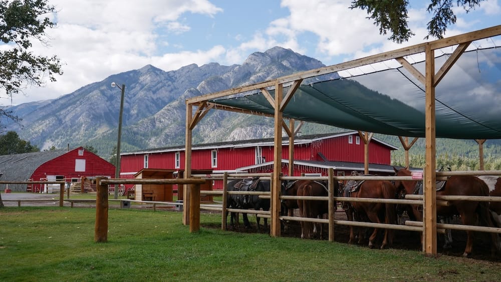 Caballos en los establos de Banff Trail Riders en Banff, Alberta, Canadá, con las Rocosas de fondo Varios caballos ensillados están dentro de un área cercada de Banff Trail Riders en Banff, Alberta, Canadá, con establos rojos, césped verde y montañas de las Rocosas bajo un cielo parcialmente nublado.
