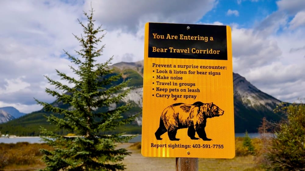 Bear travel corridor warning sign, Kananaskis Country, Alberta A yellow "Bear Travel Corridor" warning sign near a lake in Kananaskis Country, Alberta, listing safety tips including making noise, traveling in groups, keeping pets leashed, and carrying bear spray.
