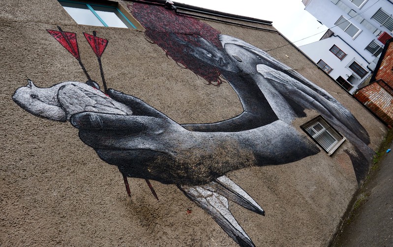 Belfast street art tour holding a pigeon with arrow 