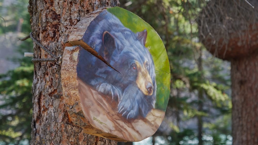 Black bear wood panel painting on the Art in Nature Trail, Banff, Alberta, Canada A realistic painting of a black bear resting on a branch is mounted on a round wood panel attached to a tree trunk along the Art in Nature Trail in Banff, Alberta, Canada.