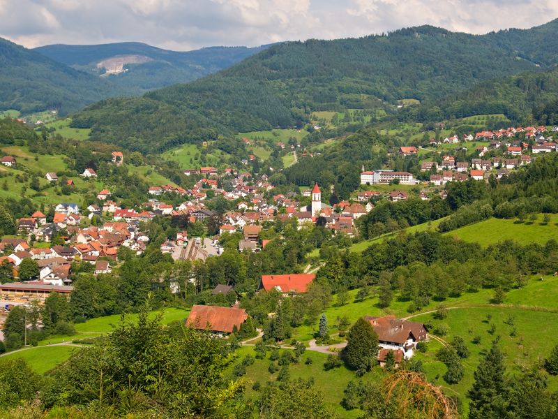 The Black Forest is a place to visit after visiting Stuttgart, Germany 
