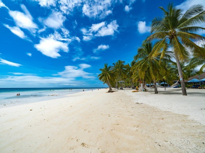 Bohol beaches in the Philippines which offer tourists a slice of tropical paradise 