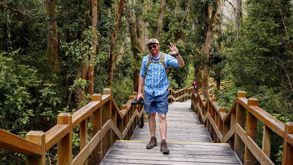 Samuel Jeffery on the Arrayanes Forest boardwalk near Villa La Angostura, Neuquén, Patagonia, Argentina Samuel Jeffery walks along an elevated wooden boardwalk through the dense Arrayanes Forest near Villa La Angostura, Neuquén, Patagonia, Argentina, surrounded by mature trees and thick green vegetation.