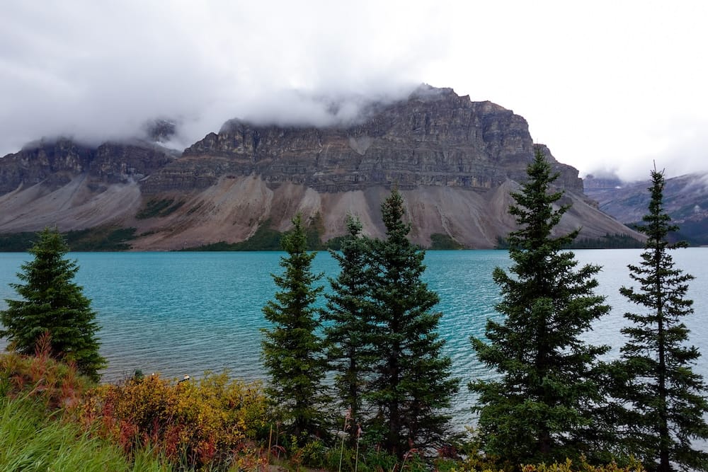 Bow Lake junto a la Icefields Parkway en Alberta, Canadá, con agua turquesa, pinos en primer plano y montañas rocosas empinadas parcialmente cubiertas por nubes bajas.