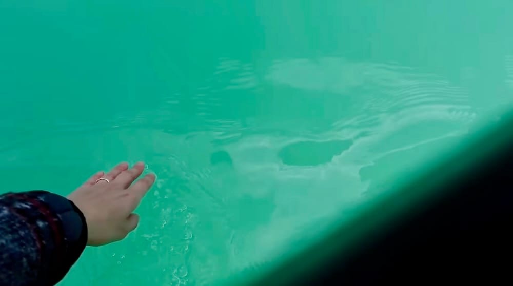 Audrey Bergner touching the turquoise Bow River during the Big Canoe Tour in Banff, Alberta, Canada Audrey Bergner reaches down to touch the vivid turquoise Bow River water during the Big Canoe Tour in Banff, Alberta, Canada, with the canoe edge visible beside her hand.