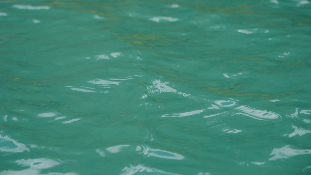 Turquoise Bow River water in Banff, Alberta, Canada, during a canoe outing in the Canadian Rockies Close-up view of the turquoise surface of the Bow River in Banff, Alberta, Canada, with gentle ripples and shifting reflections across the glacially coloured water during a canoe outing.