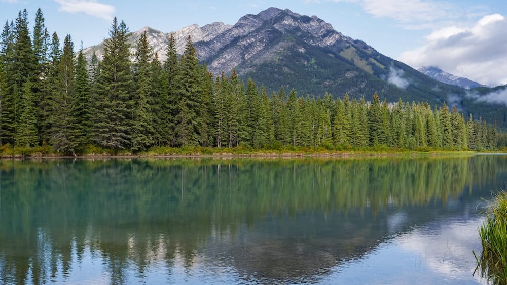 Bow River in Banff town, Alberta, Canada, reflecting evergreen forest and surrounding Canadian Rockies beneath a partly cloudy sky during a calm riverside walk.