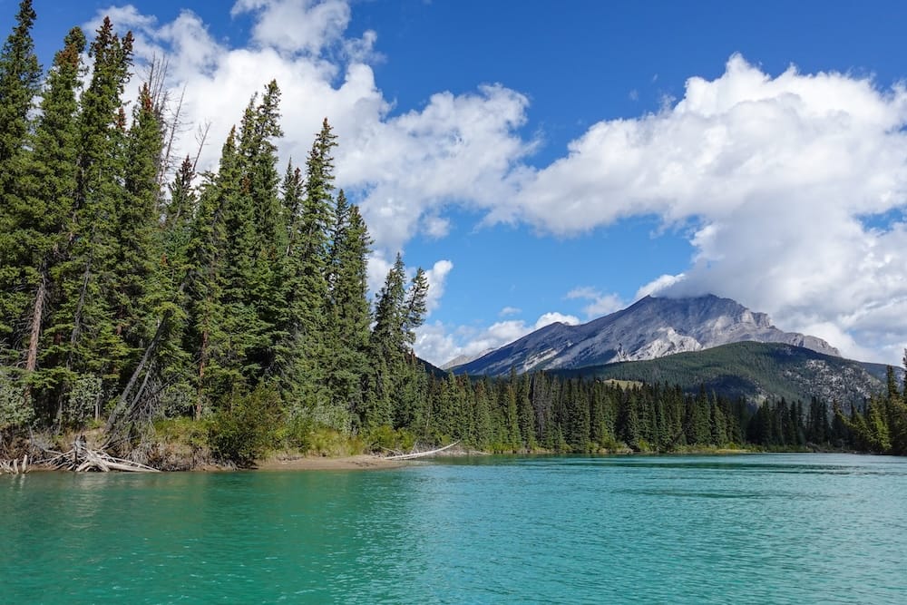 Bow River in Banff Town, Alberta, Canada, with Evergreen Forest and Canadian Rockies Mountain Scenery Turquoise water on the Bow River in Banff town, Alberta, Canada, bordered by dense evergreen forest with a rugged Canadian Rockies mountain rising beneath a blue, cloud-filled sky.