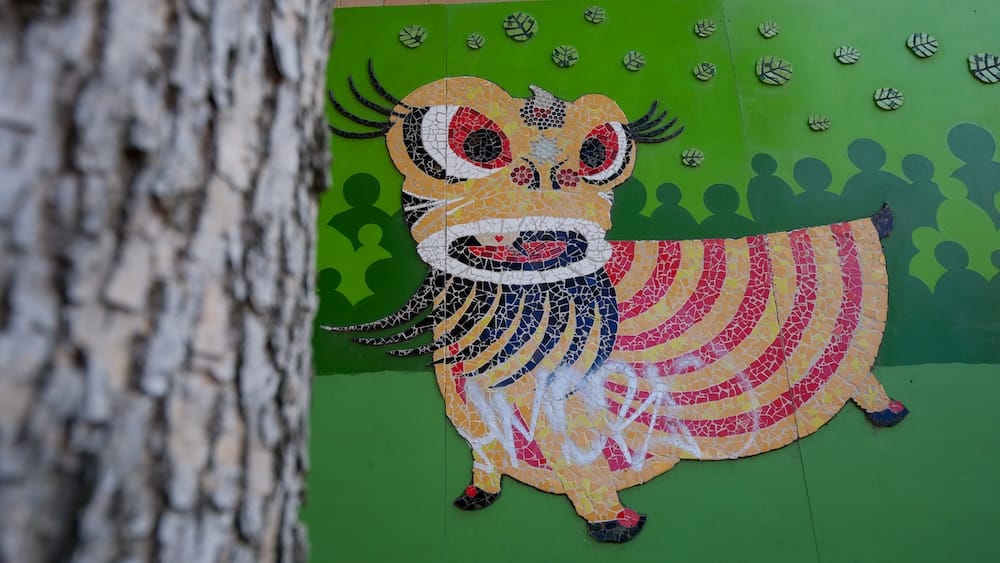 Mural de mosaico colorido en Chinatown de Calgary, Alberta, Canadá Mural de mosaico con un animal colorido en Chinatown de Calgary, Alberta, Canadá, con una criatura estilizada sobre una pared verde intensa y el tronco de un árbol en primer plano.
