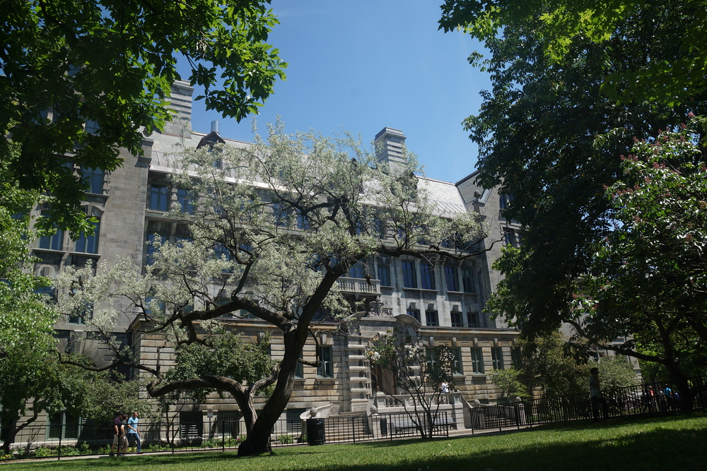 Campus area of McGill University – l’Université McGill
