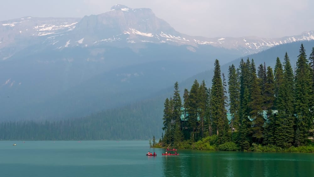 Red canoes paddle across the green-blue water of Emerald Lake, framed by dense forest and hazy mountains, Yoho National Park, British Columbia, Canada.
