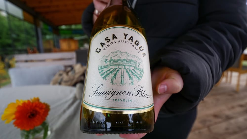 Casa Yagüe Sauvignon Blanc bottle at a vineyard in Trevelin, Chubut, Patagonia, Argentina A hand holds a bottle of Casa Yagüe Sauvignon Blanc during a vineyard visit in Trevelin, Chubut, Patagonia, Argentina, with the label in sharp focus and a rustic tasting area blurred in the background.
